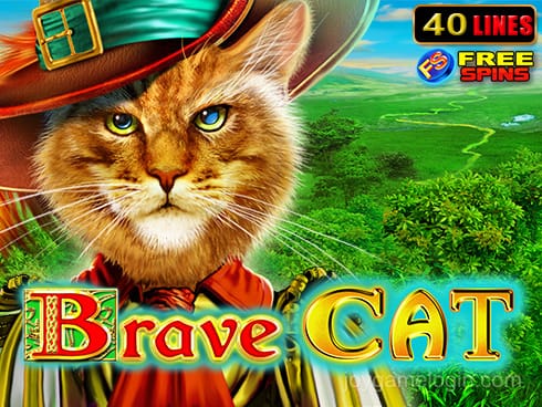 Brave Cat